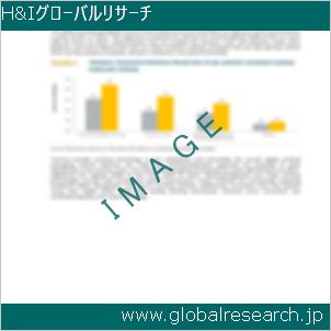 グローバルリサーチ調査レポートのイメージ